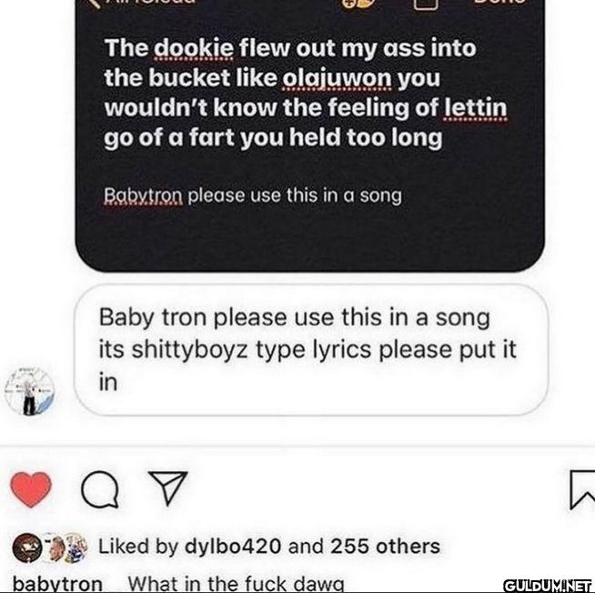The dookie flew out my ass...