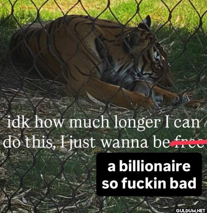 idk how much longer I can...