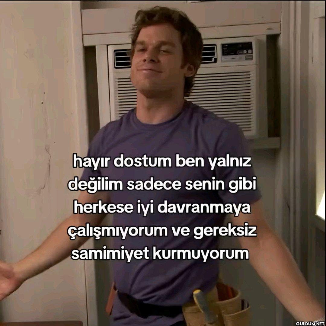 hayır dostum ben yalnız...