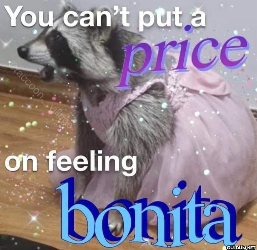 You can't put a price on...