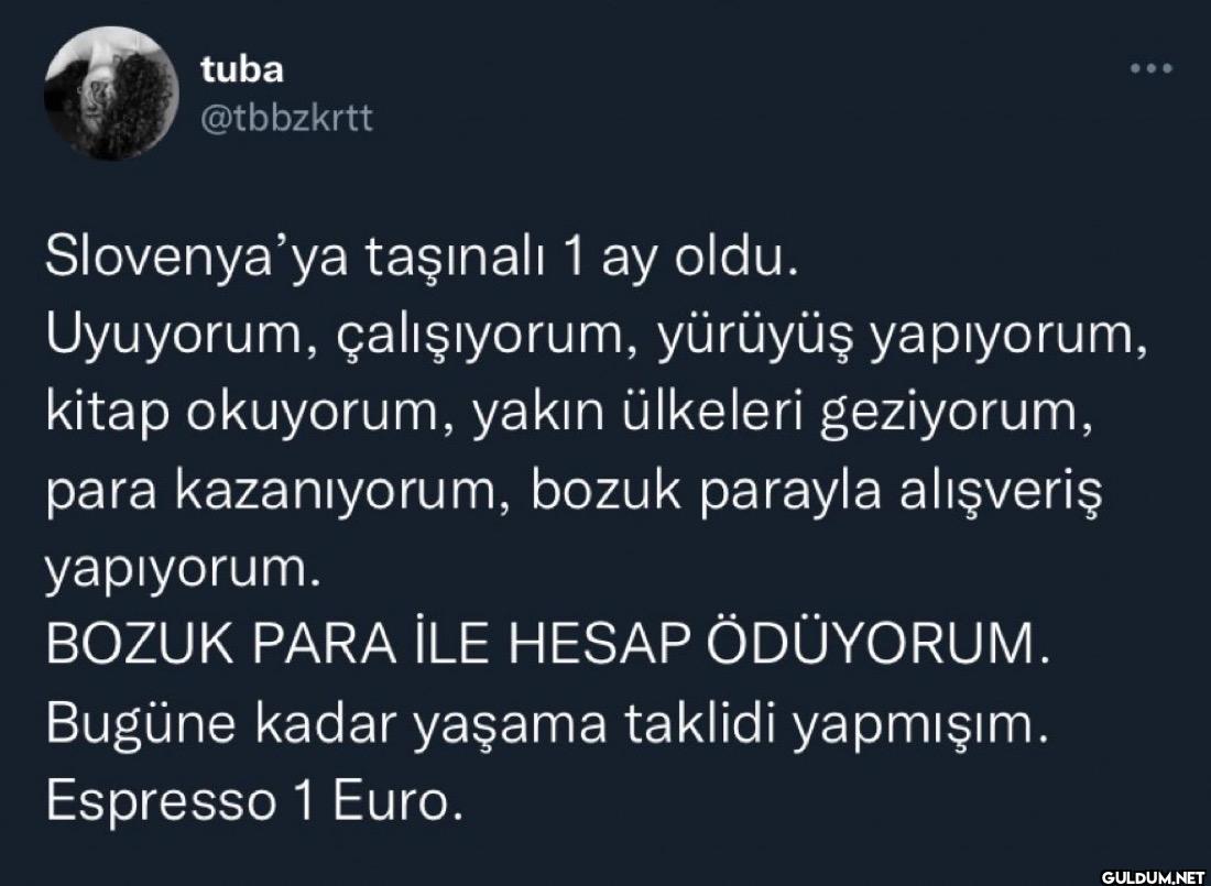 Slovenya'ya taşınalı 1 ay...