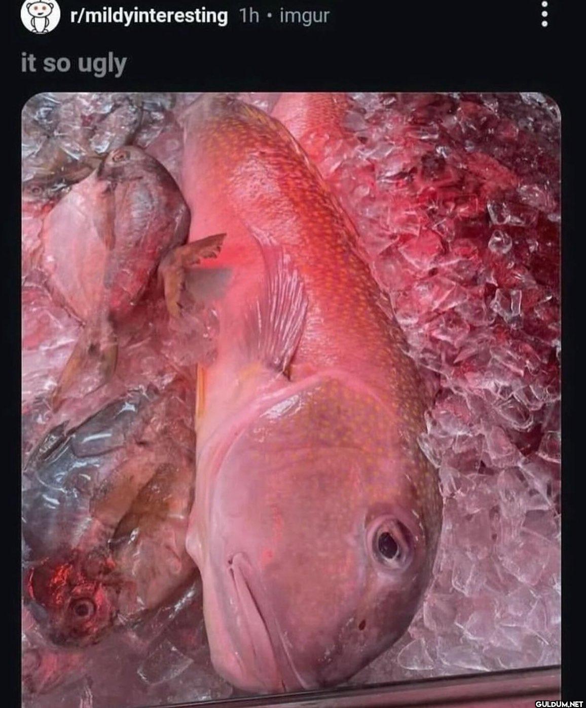Popular post