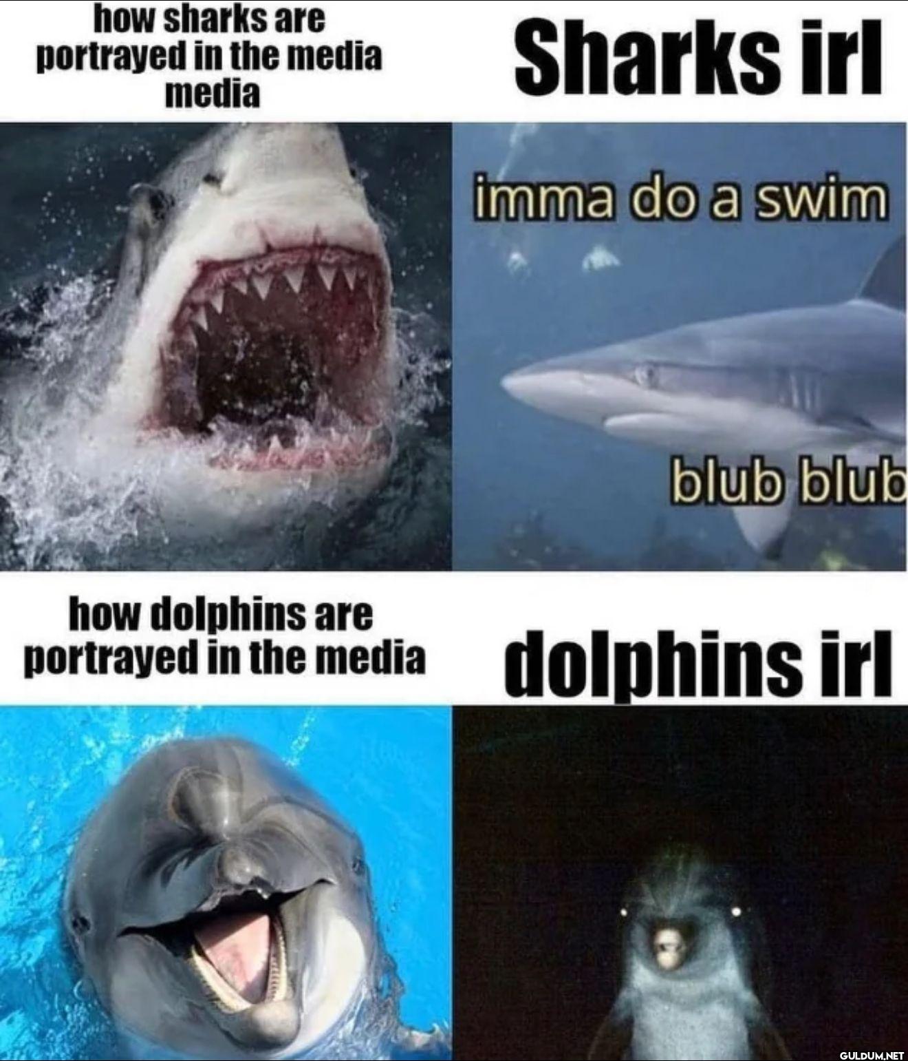 how sharks are portrayed...