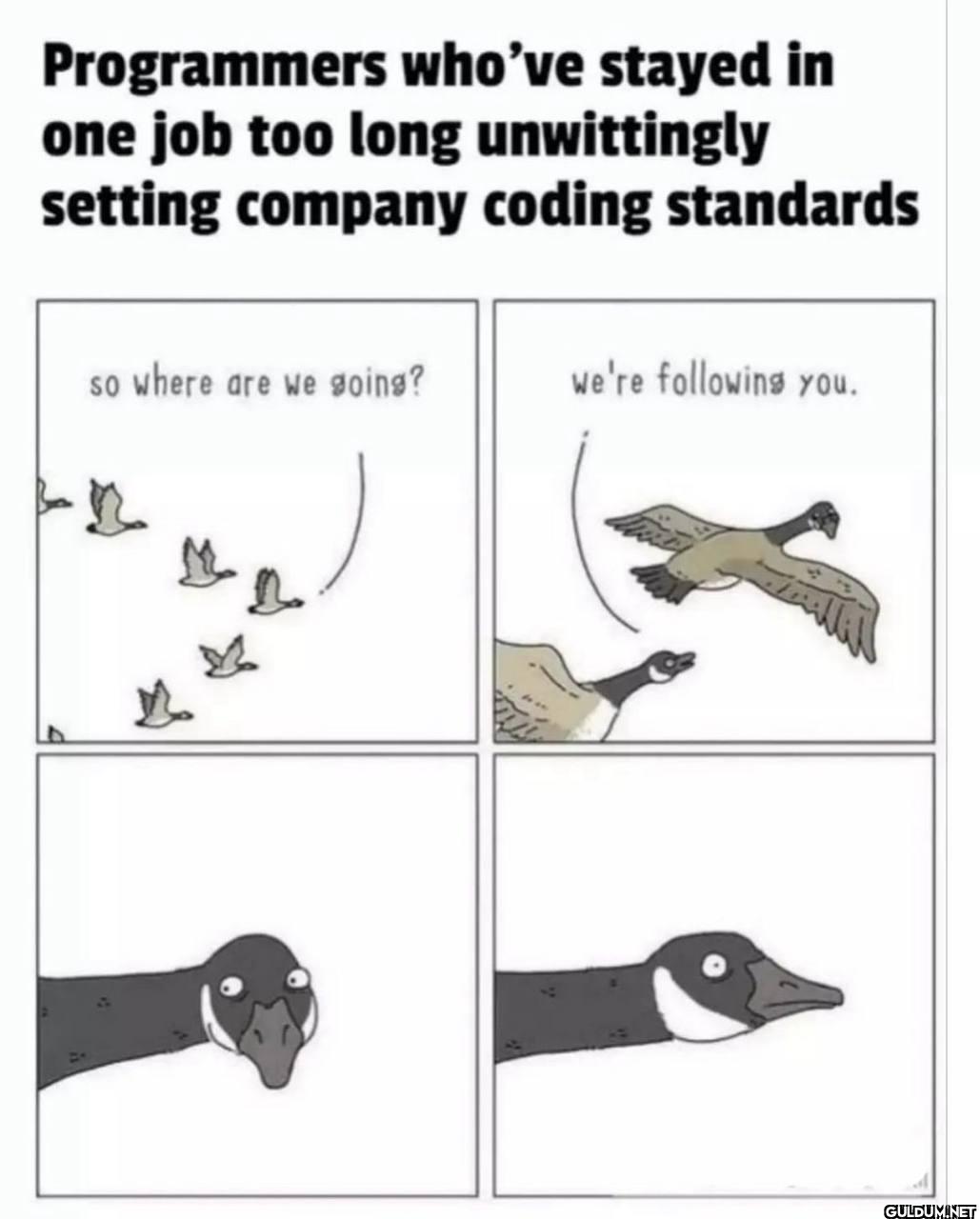 Terrifying.    Programmers...