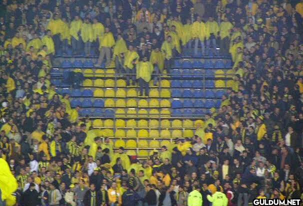 Tek aşk Fenerbahçe 💛💙
