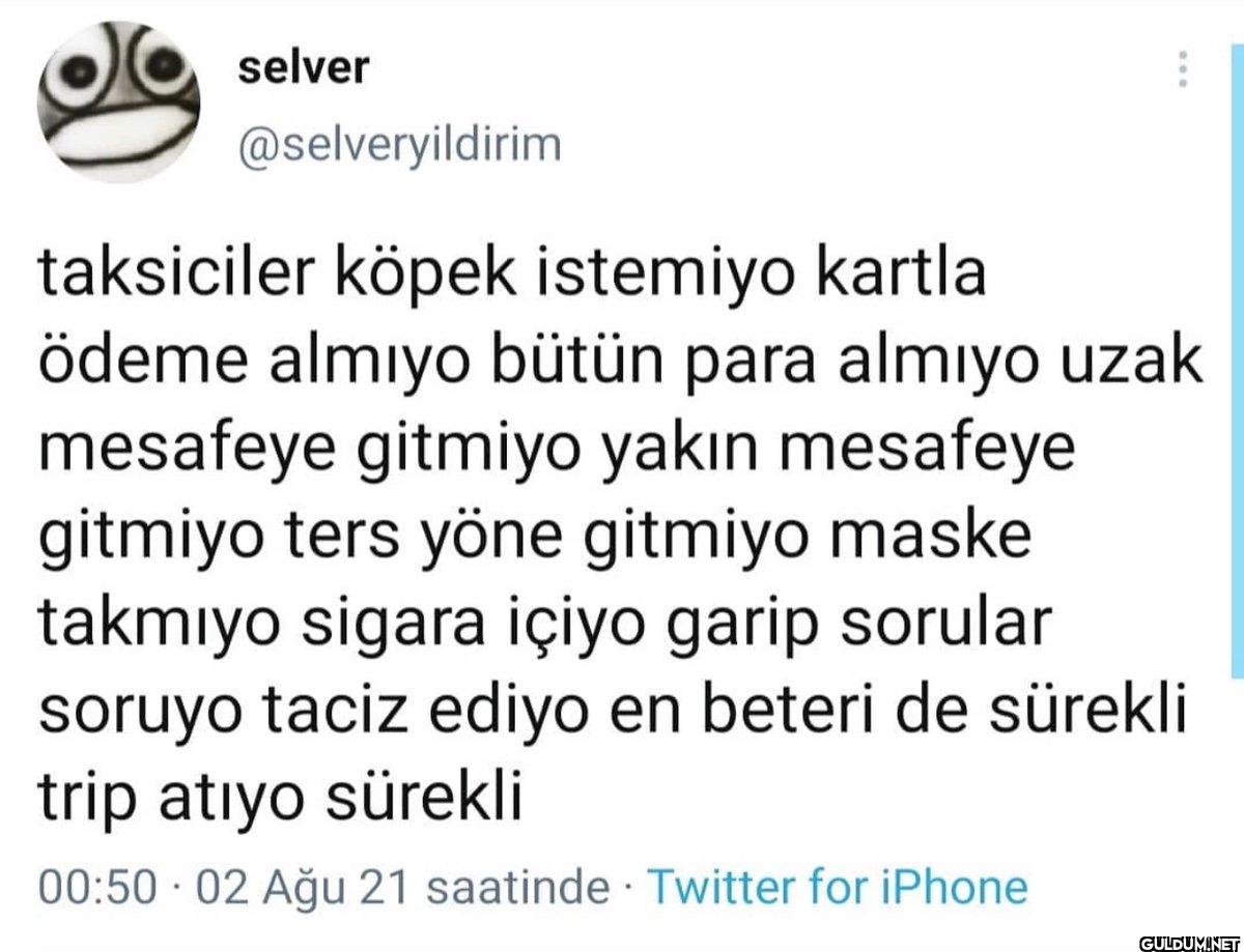taksiciler köpek istemiyo...