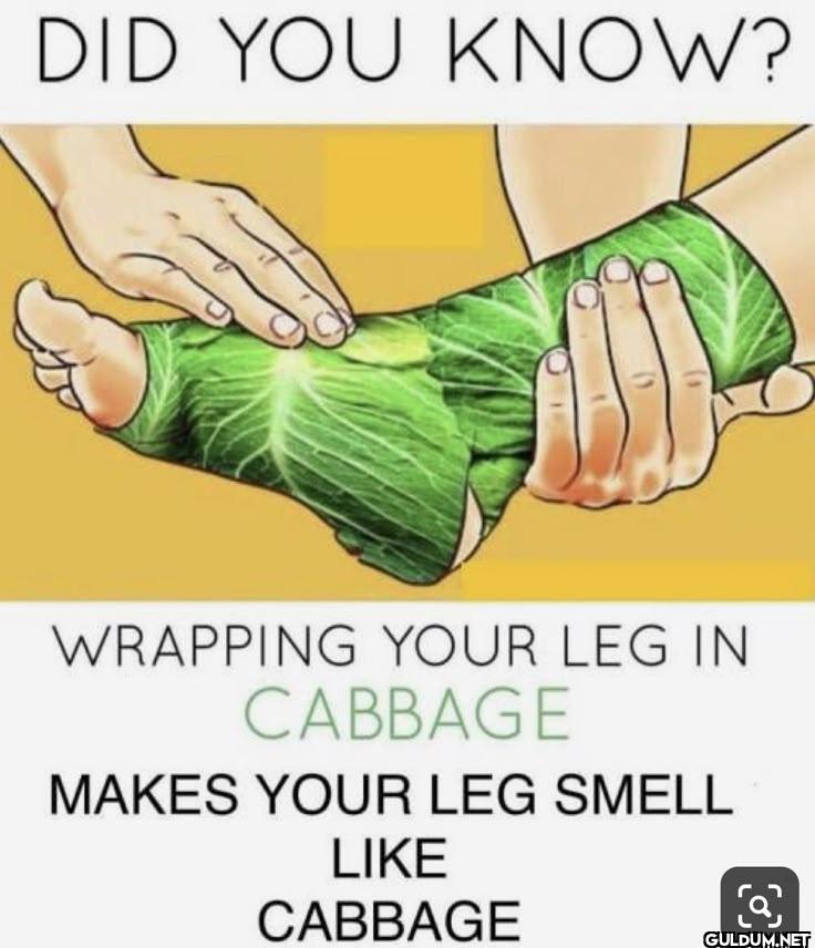 DID YOU KNOW? WRAPPING...