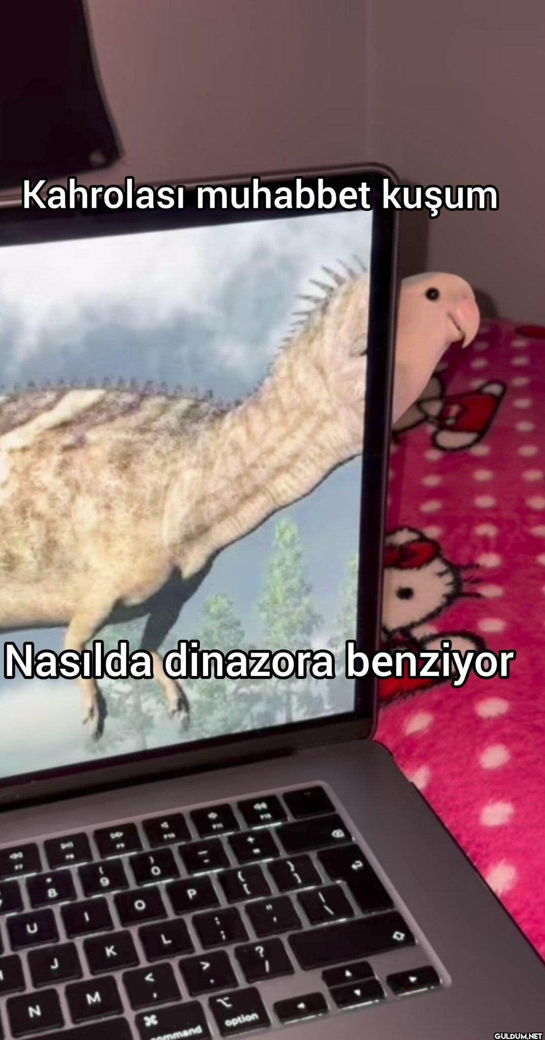 Kahrolası muhabbet kuşum...