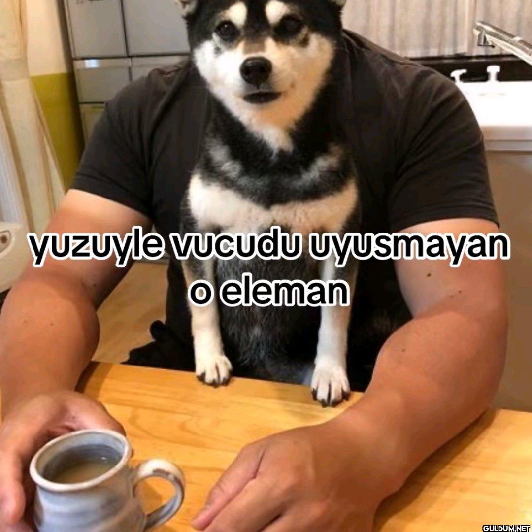 yuzuyle vucudu uyusmayan o eleman