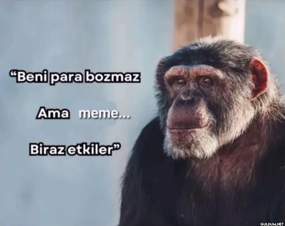 Kayınbabamın fabrikası...