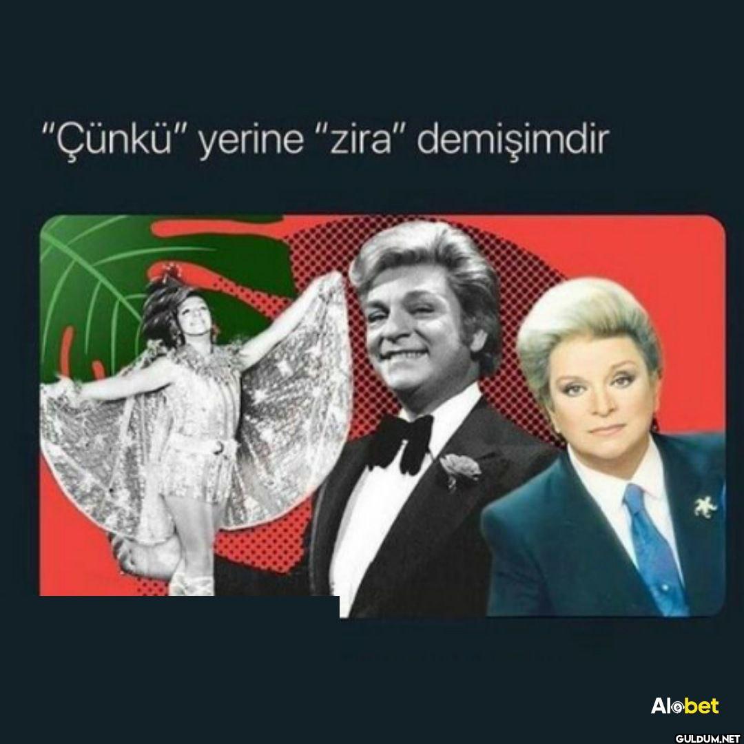 "Çünkü" yerine "zira"...