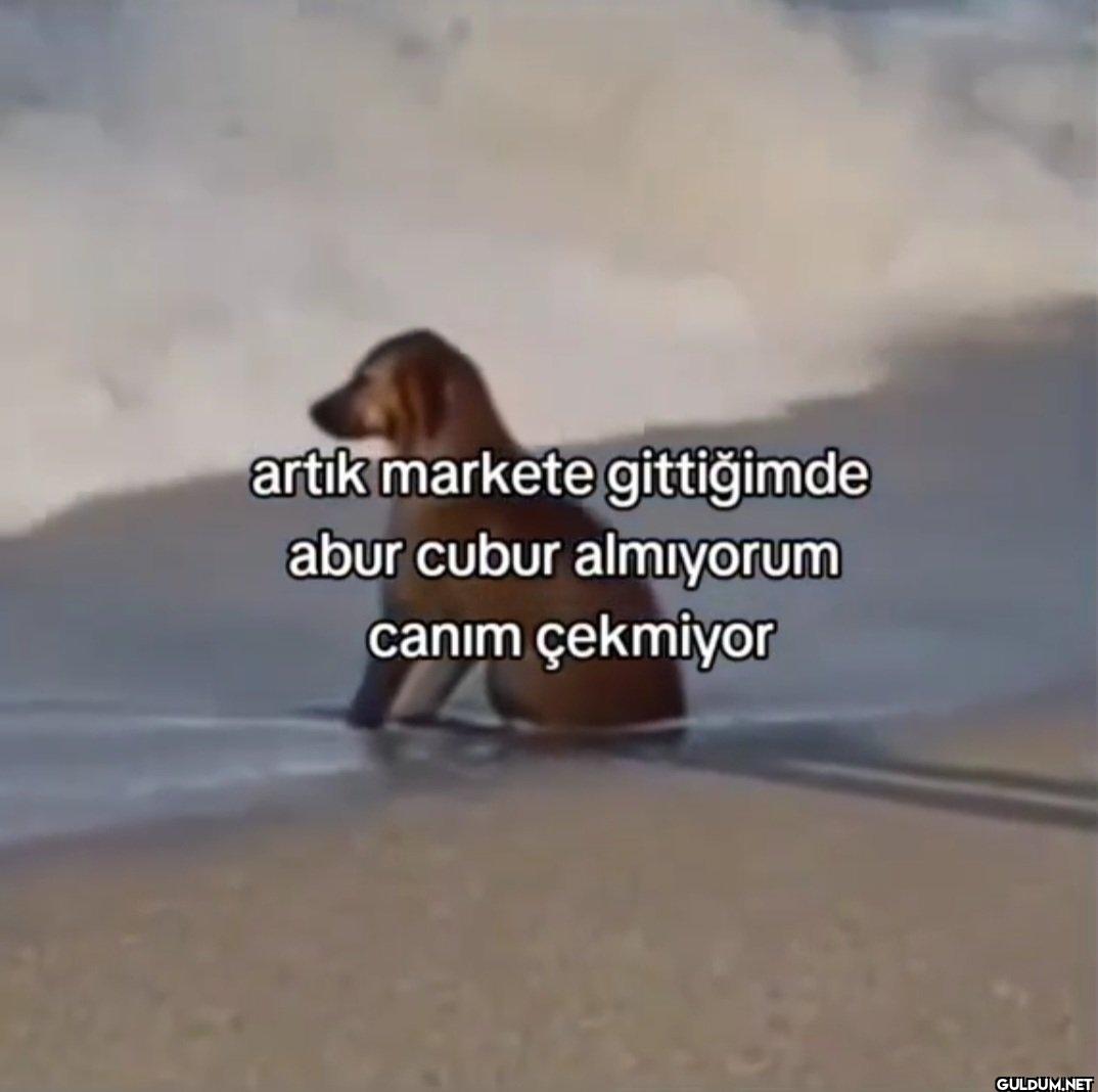 artık markete gittiğimde...