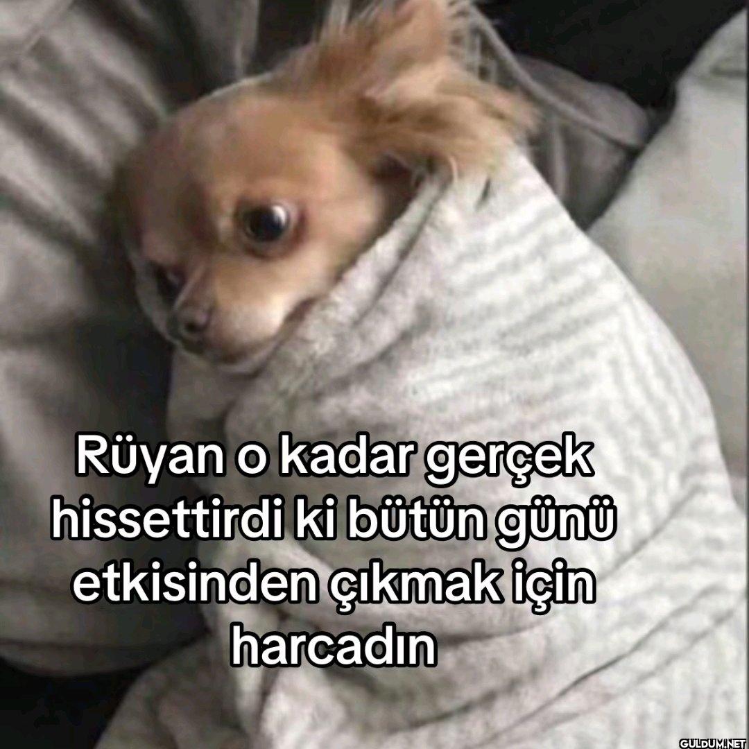 Rüyan o kadar gerçek...