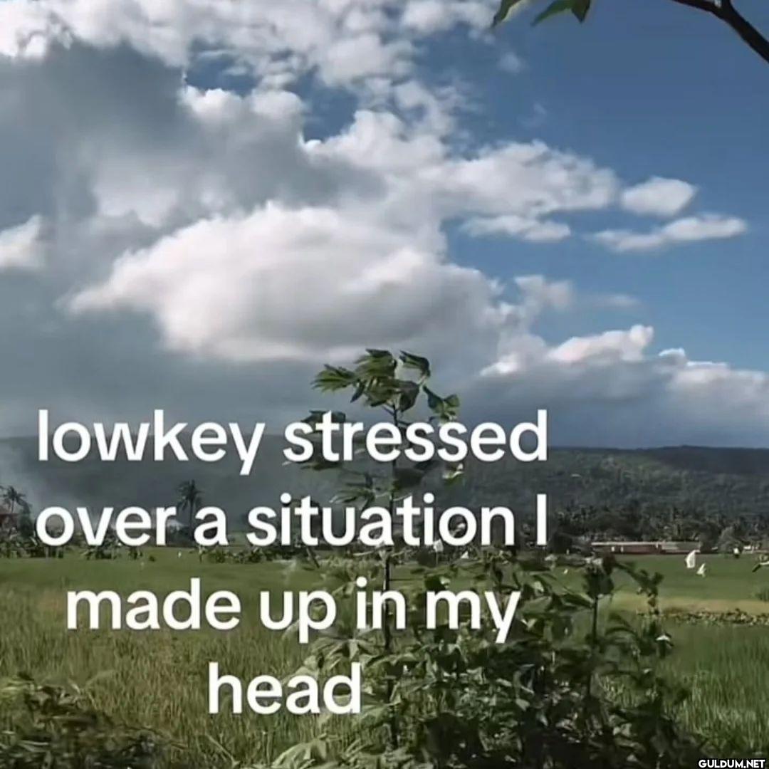 lowkey stressed over a...