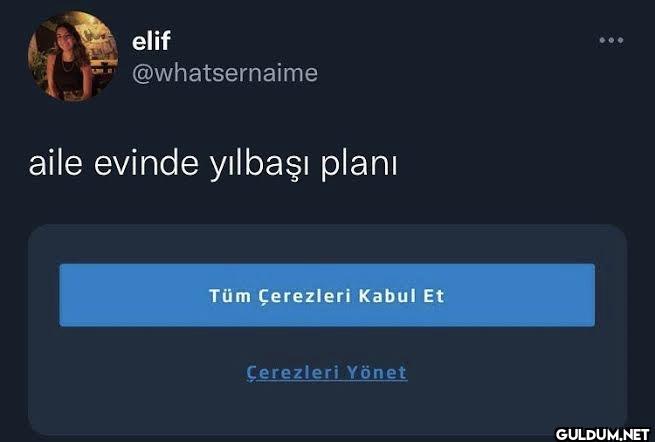 aile evinde yılbaşı planı...