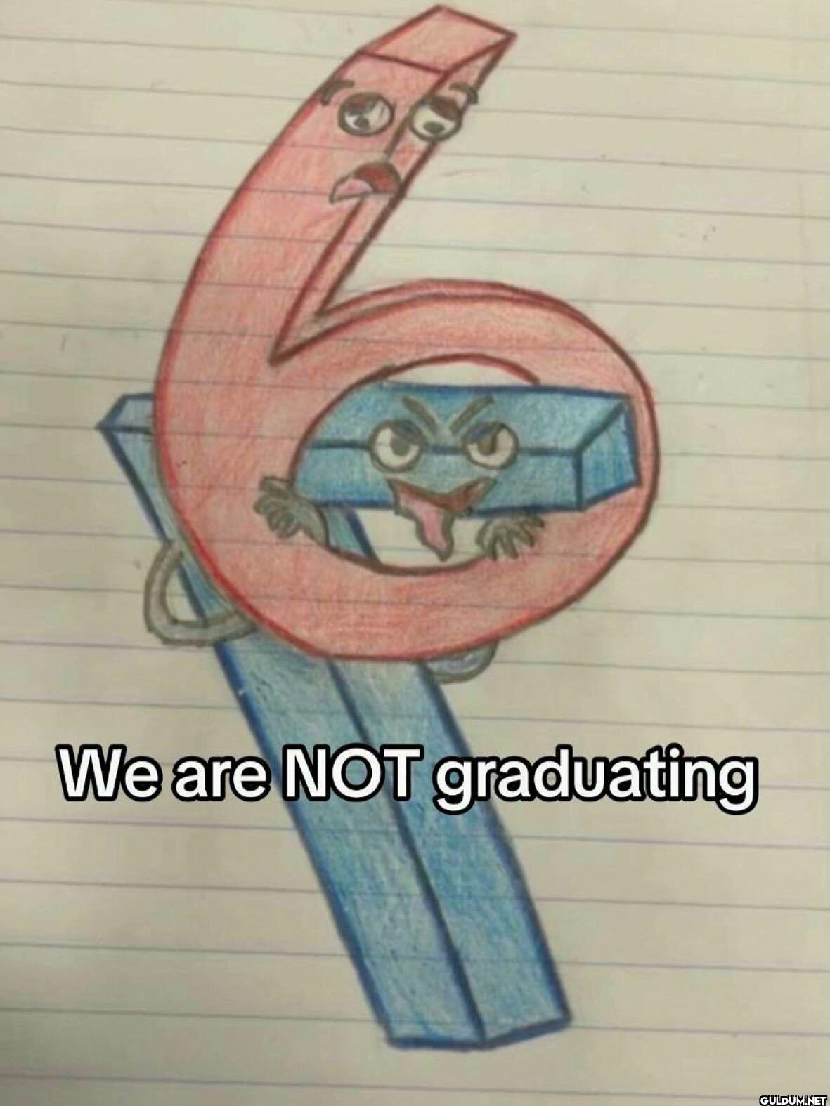 We are NOT graduating
