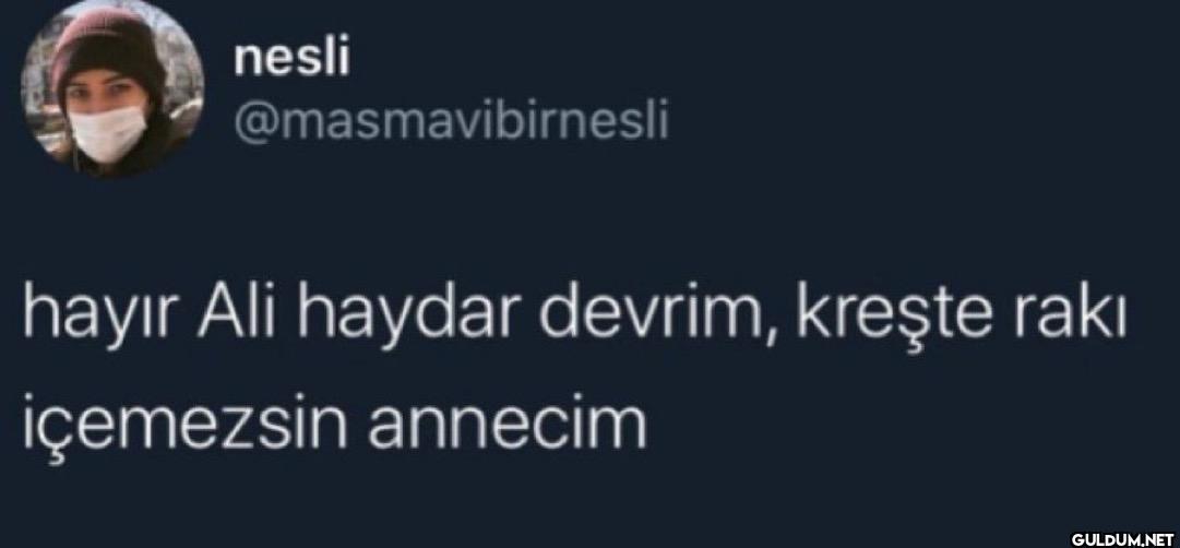 hayır Ali haydar devrim,...