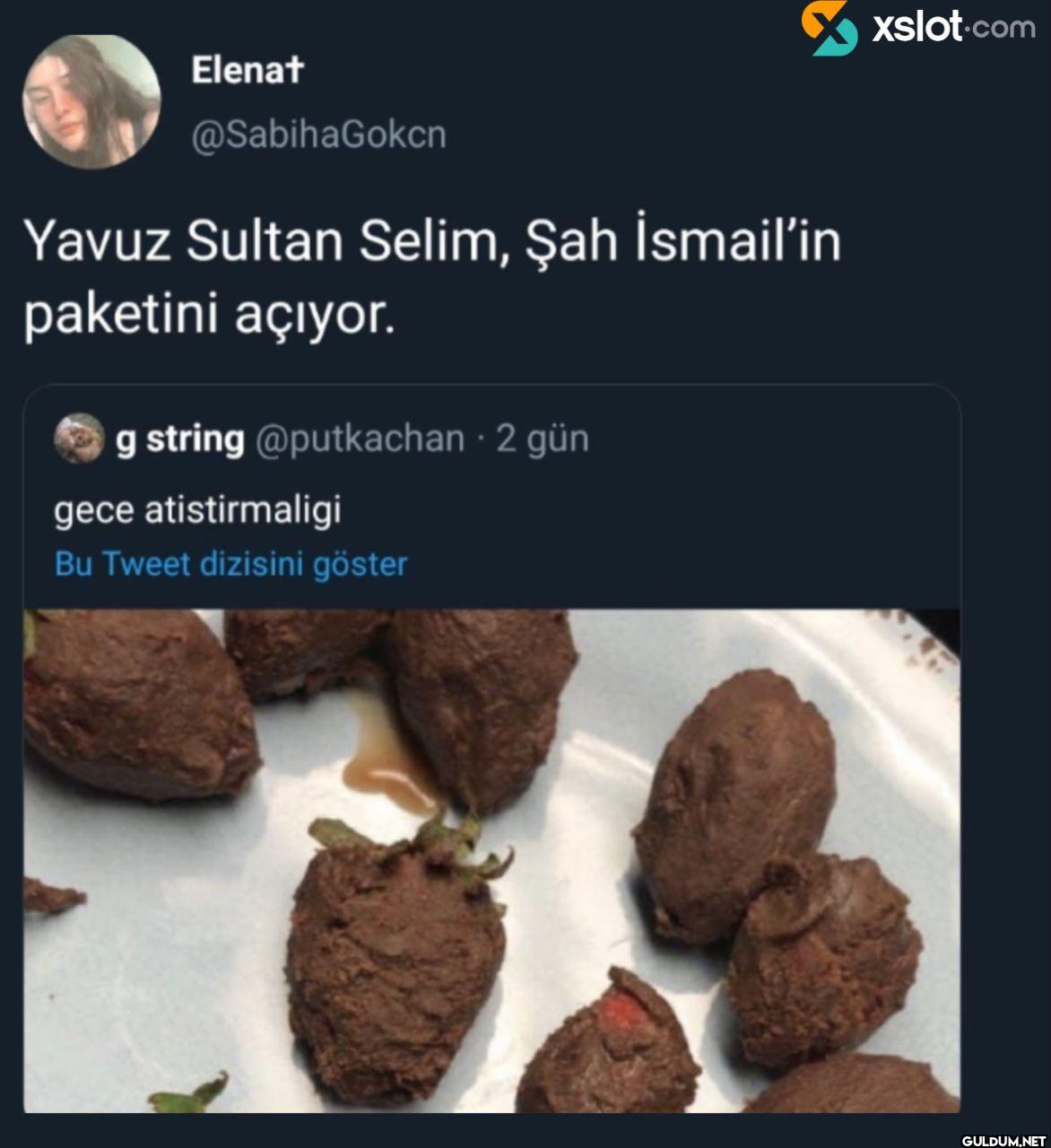 Yavuz Sultan Selim, Şah...