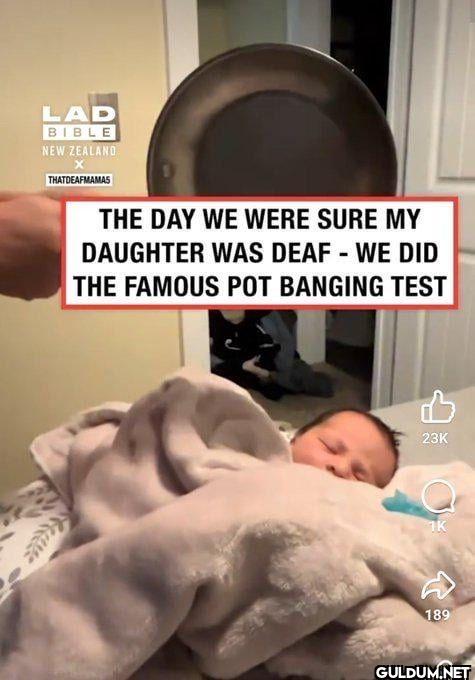 LAD BIBLE NEW ZEALAND...
