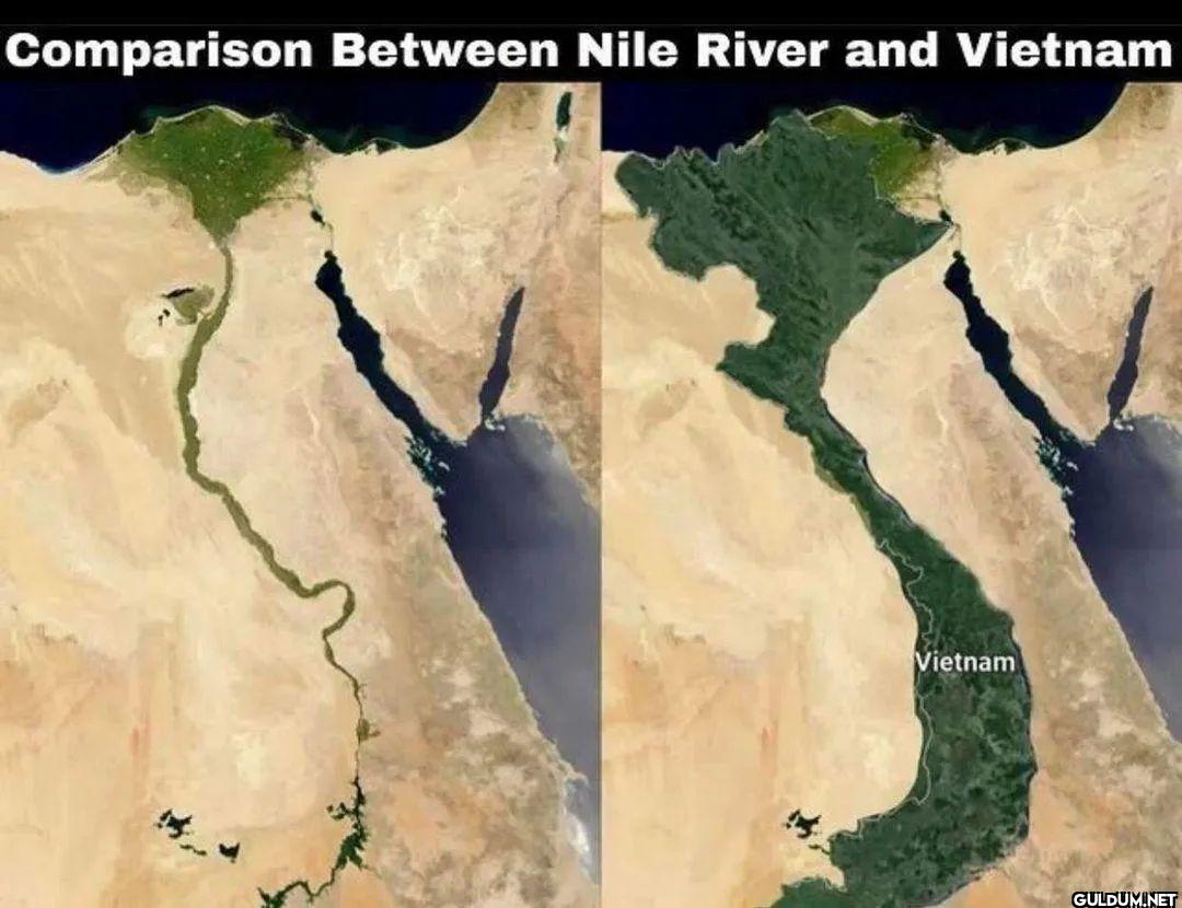 Comparison between Nile...