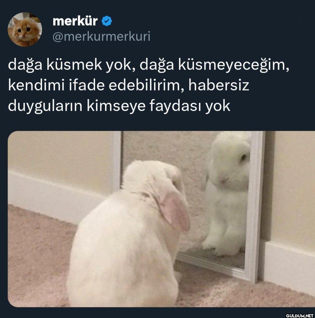 dağa küsmek yok, dağa...