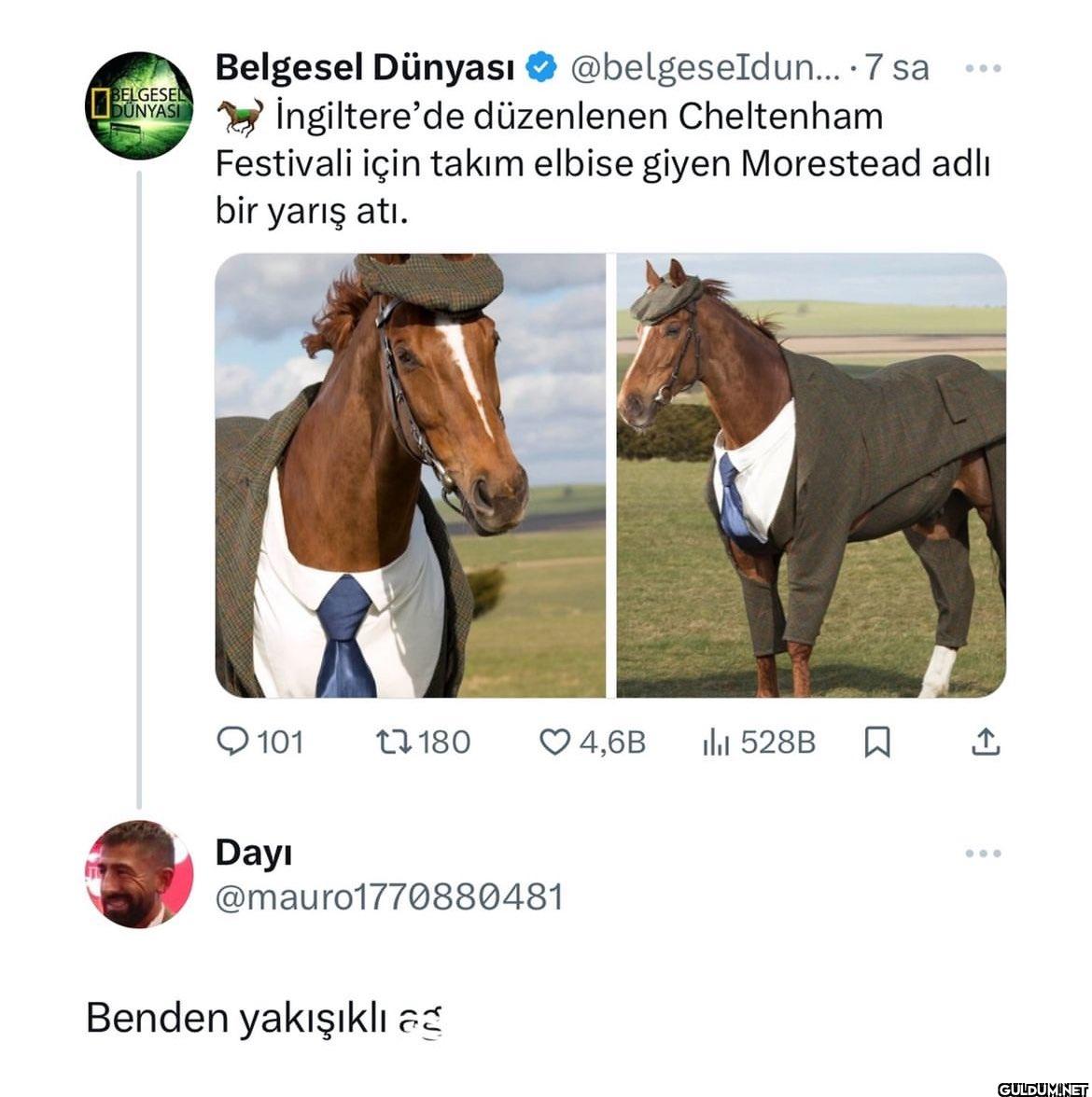 7 sa 600 BELGESEL DUNYASI...