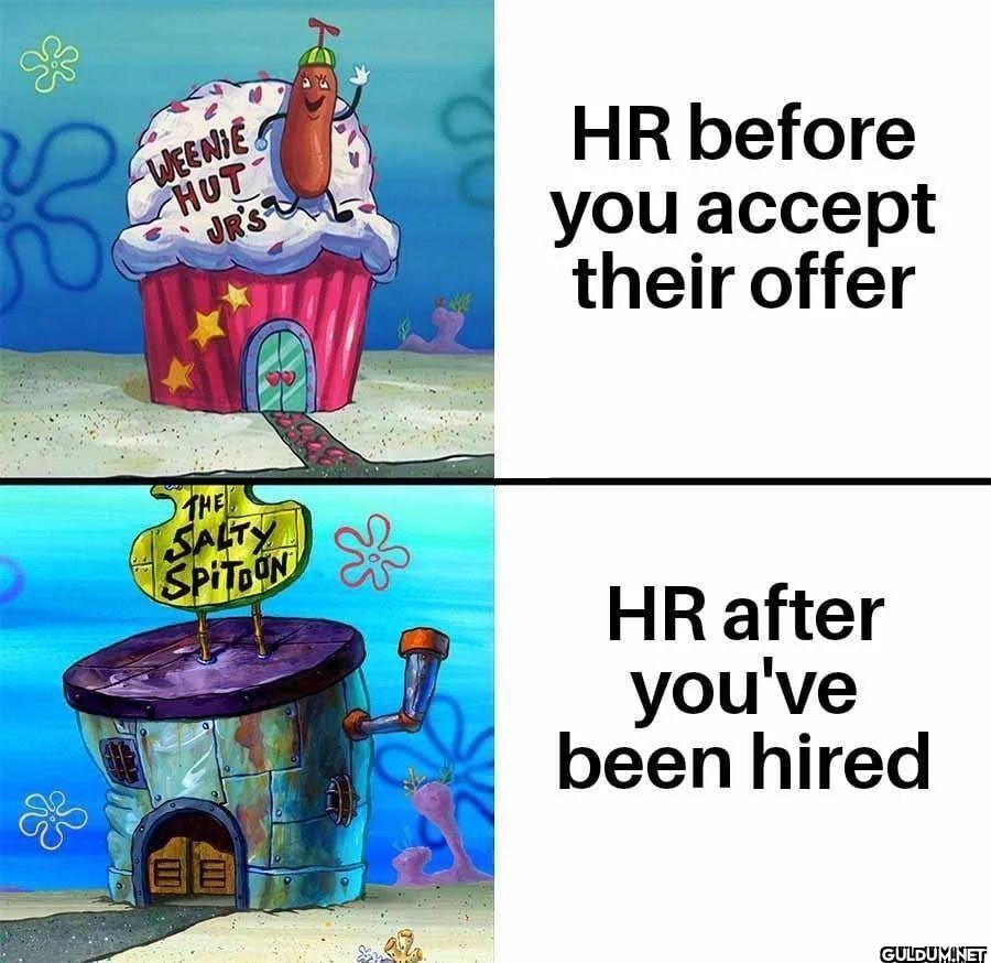 K 3 WEENIE HUT JR'S H HR...