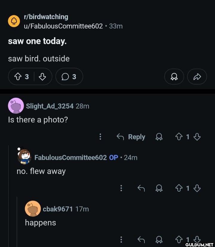 r/birdwatching u/Fabulous...