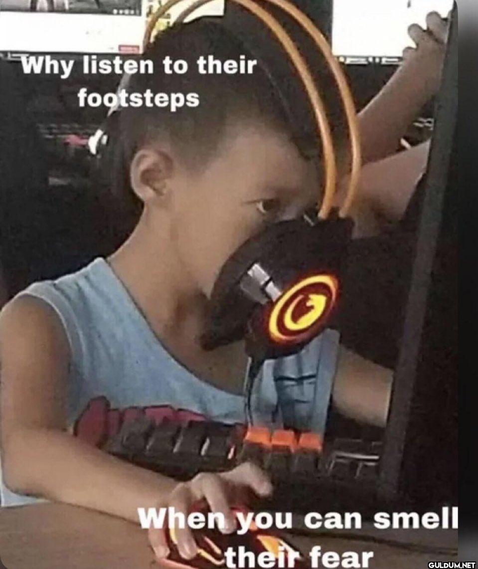 Why listen to their...