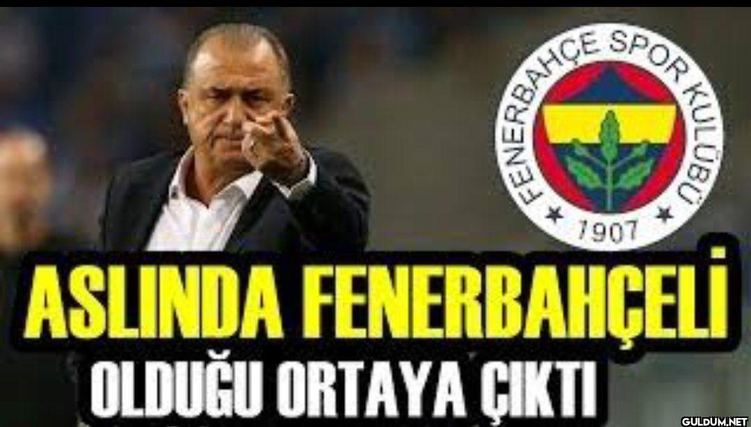 TERİM SİNİRDEN DELİYE...