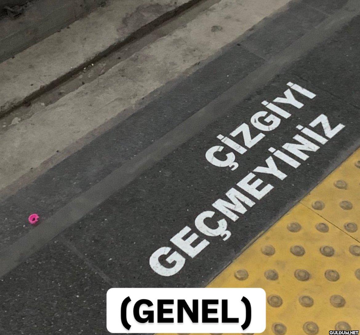 ÇİZGİYİ GEÇMEYİNİZ (GENEL)