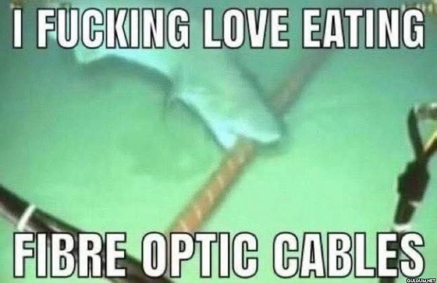 I FUCKING LOVE EATING...