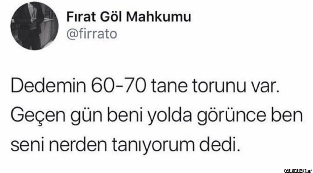 Dedemin 60-70 tane torunu...
