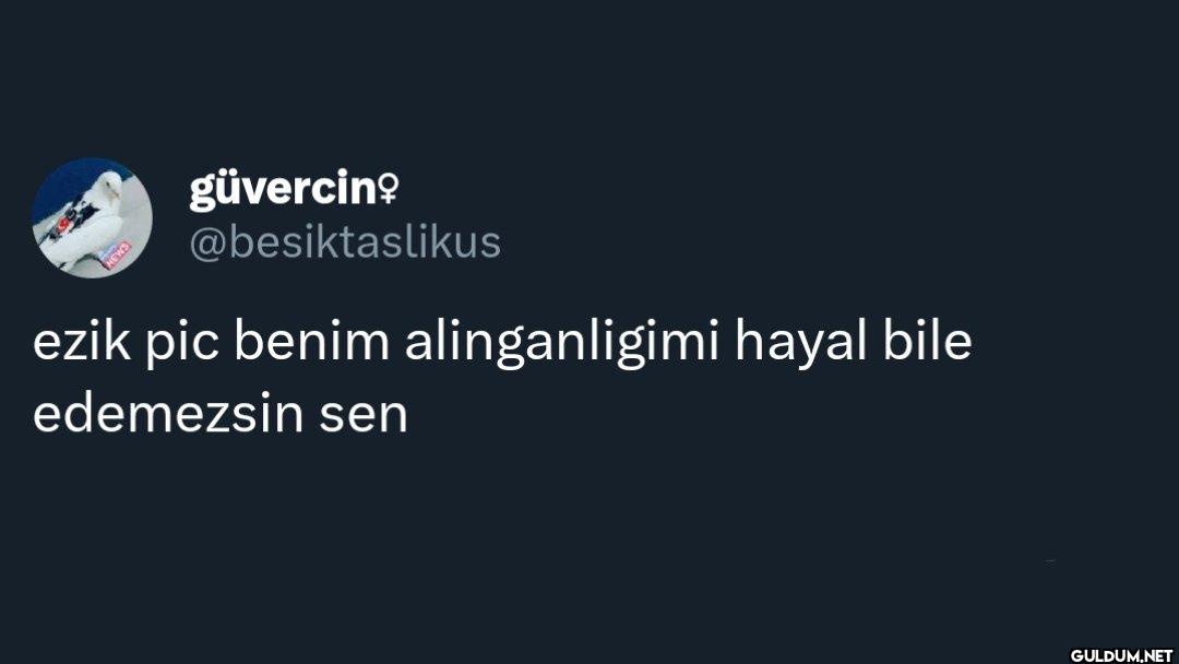 ezik pic benim...