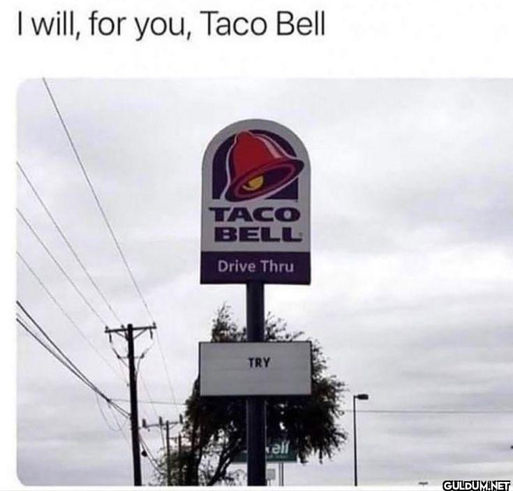 I will, for you, Taco Bell...