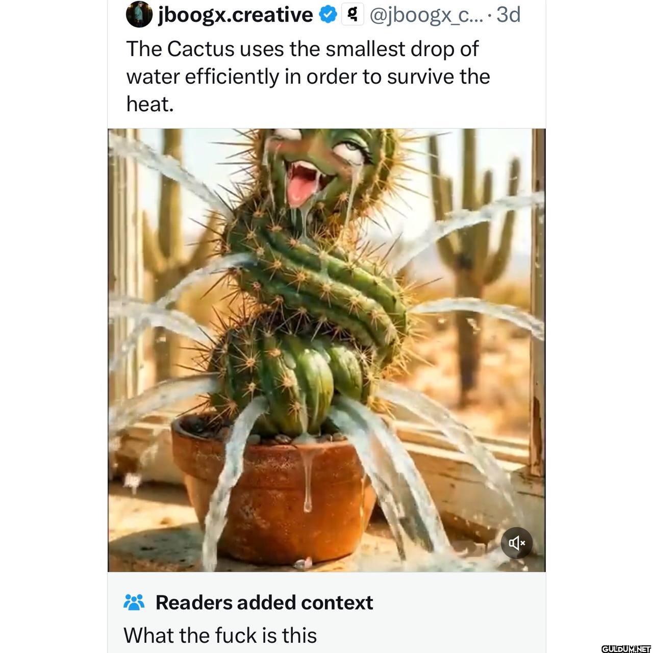 No seriously, what the...