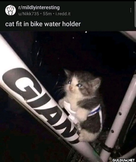 r/mildlyinteresting...