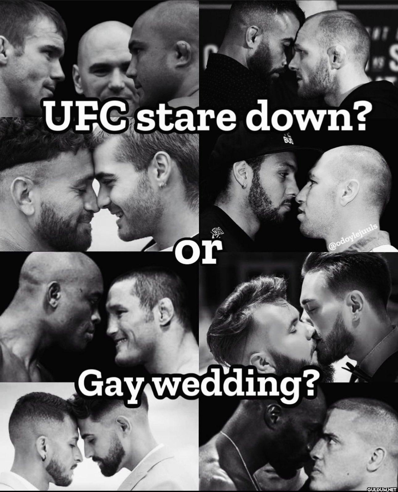 Gay wedding?