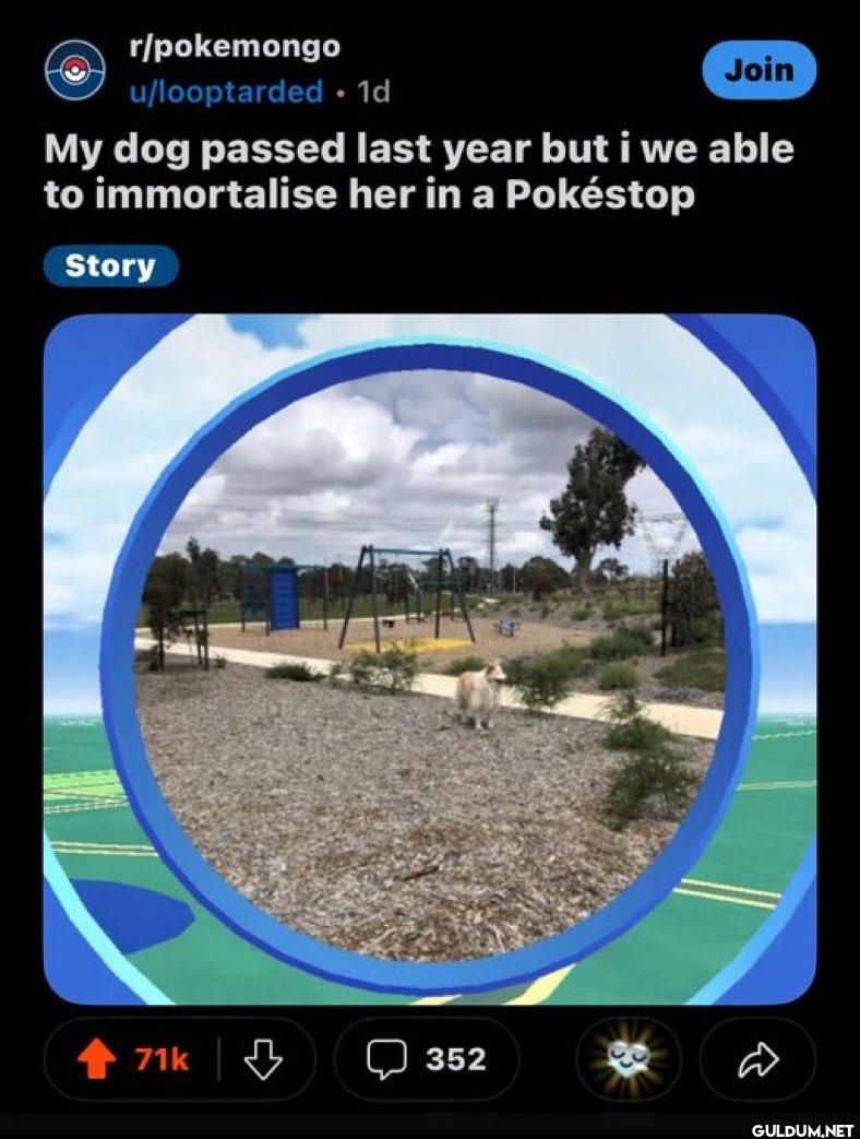 r/pokemongo u/looptarded...