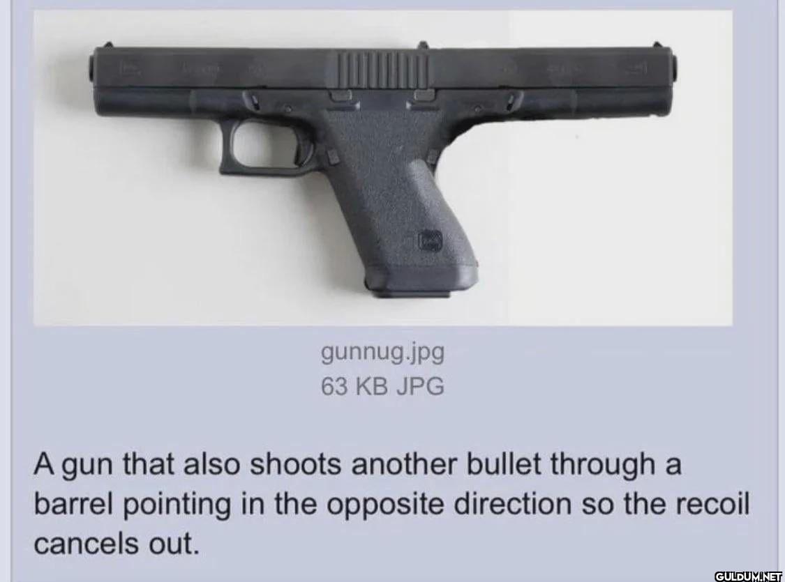 gunnug.jpg 63 KB JPG A gun...