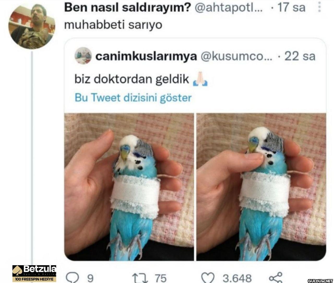 17 sa muhabbeti sariyo...