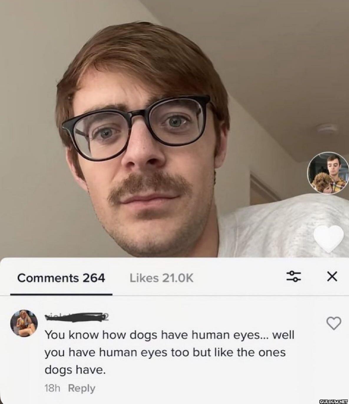 Comments 264 Likes 21.0K...