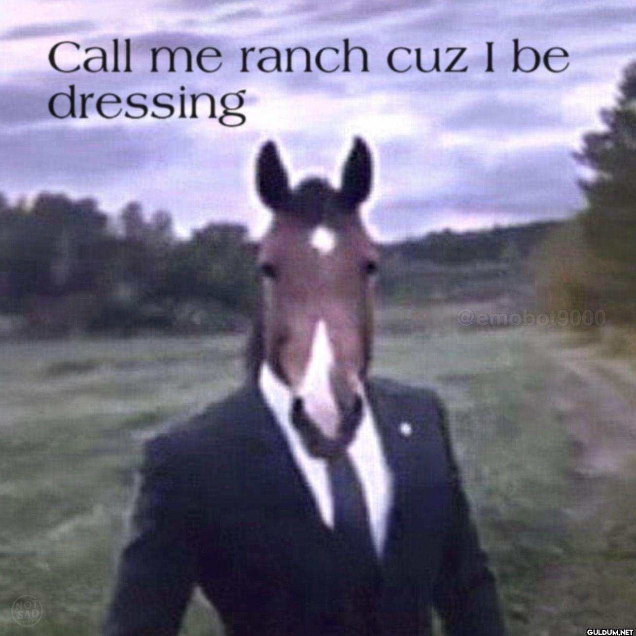Call me ranch cuz I be dressing