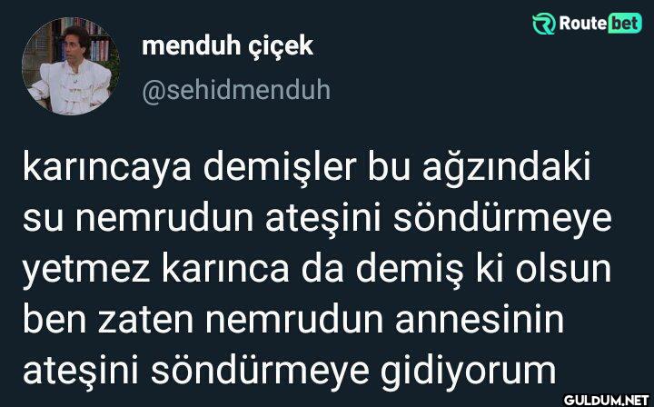 karıncaya demişler bu...