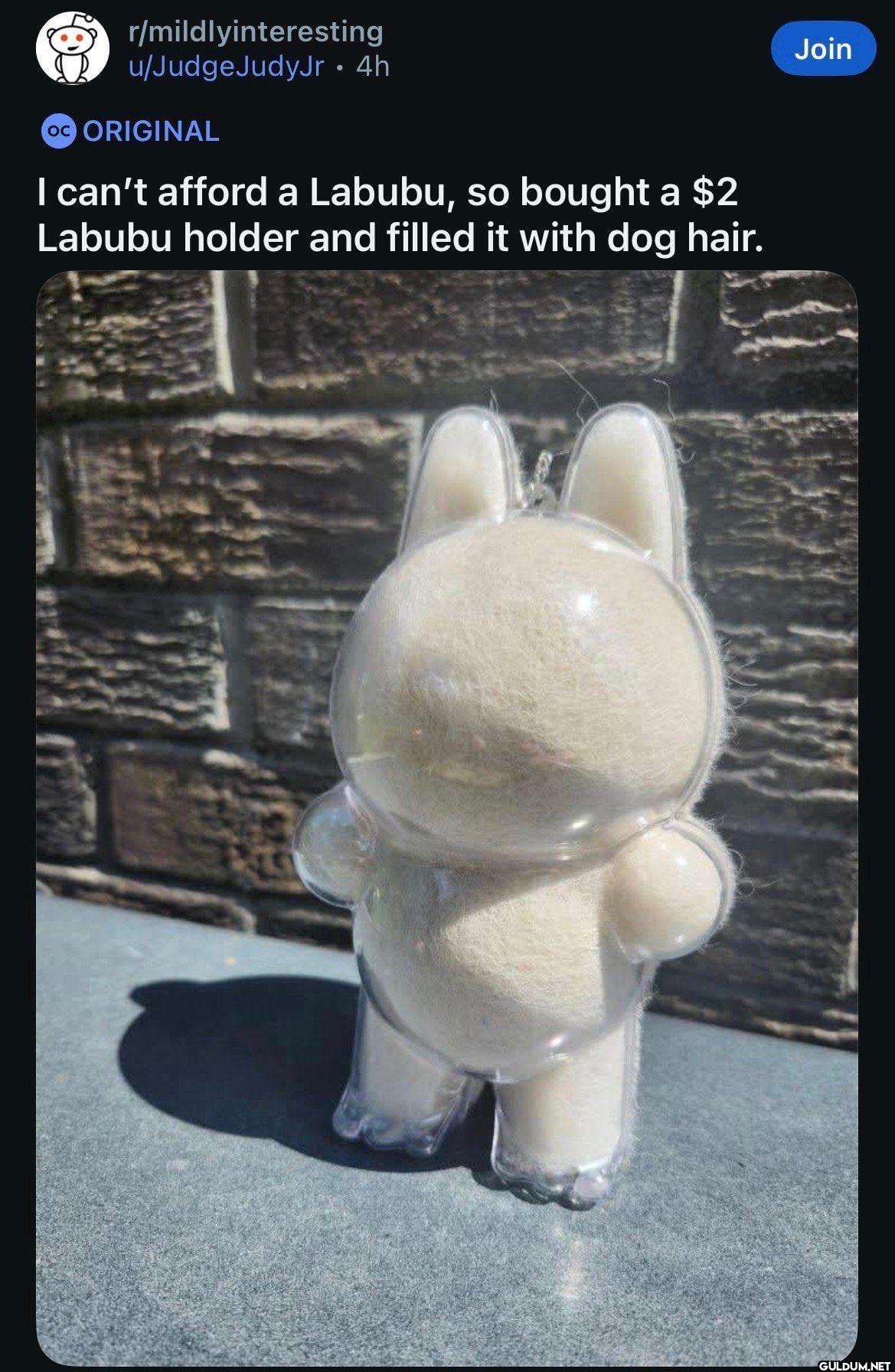r/mildlyinteresting...