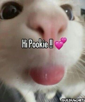 Hi Pookie!!