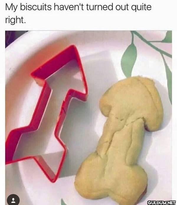 ︎ ︎ ︎ ︎    My biscuits...