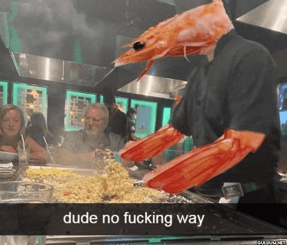 E dude no fucking way