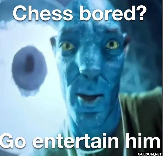 Chess bored? Go entertain him