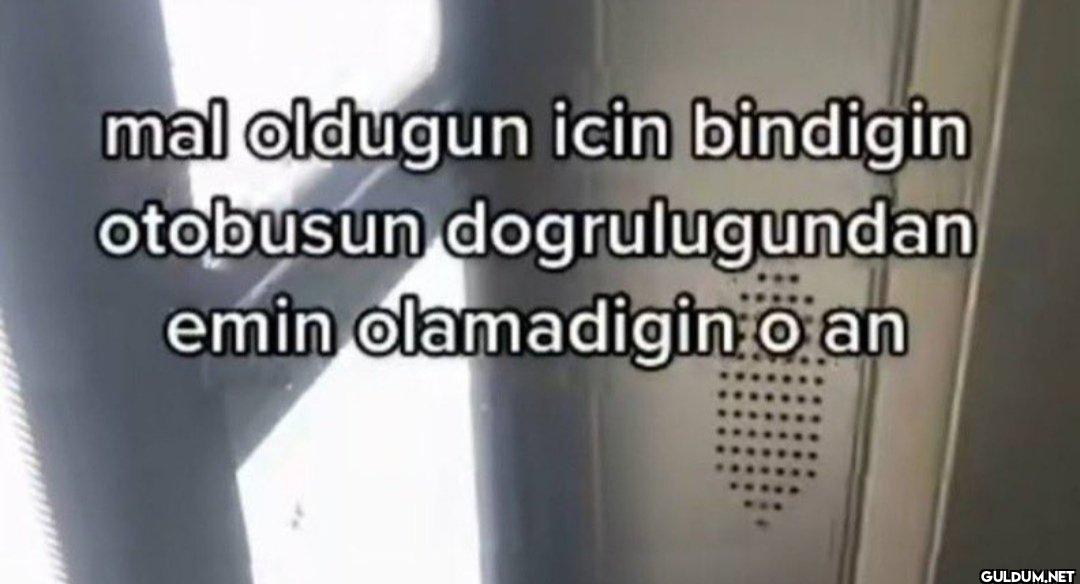 mal oldugun icin bindigin...